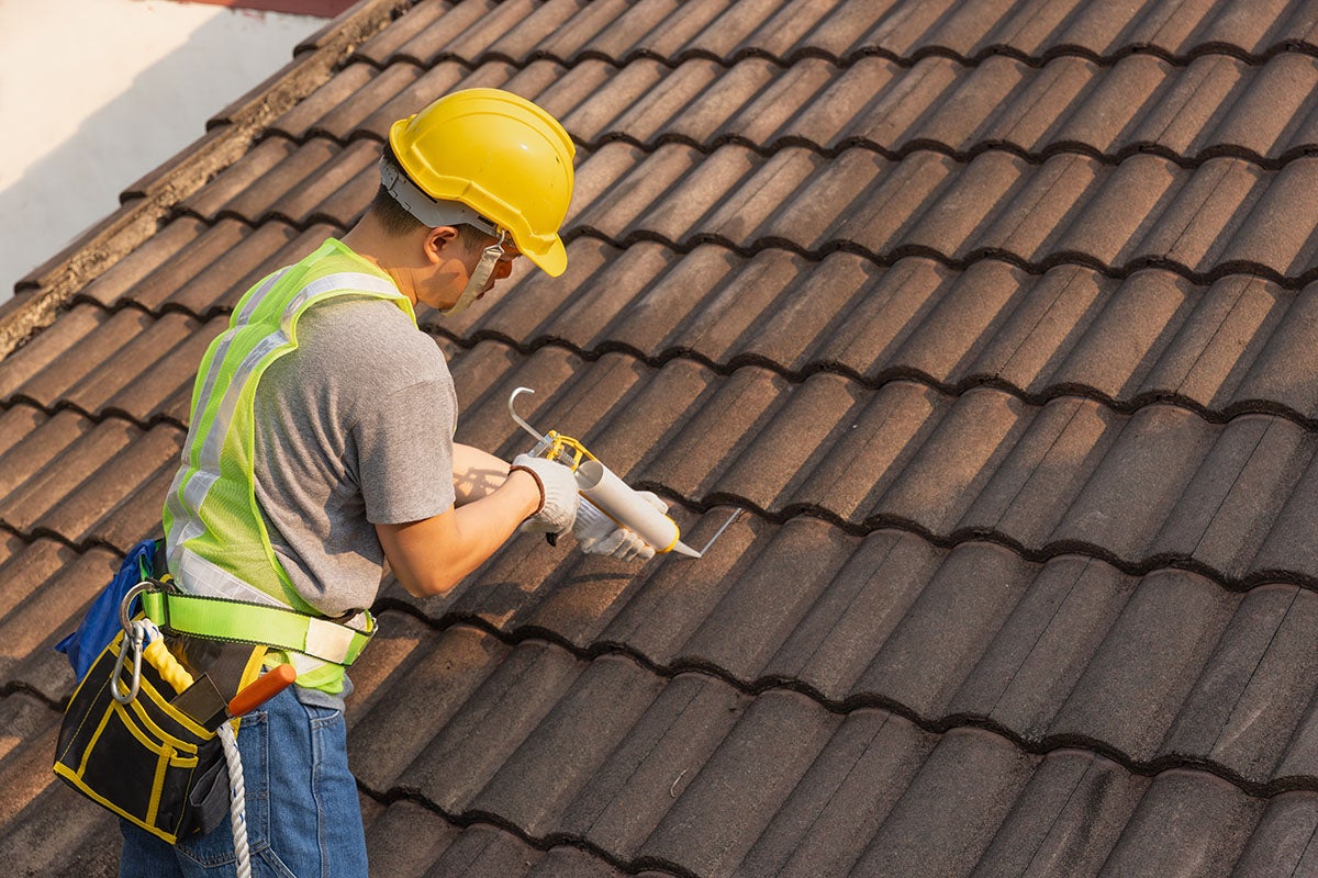 Roof maintenance